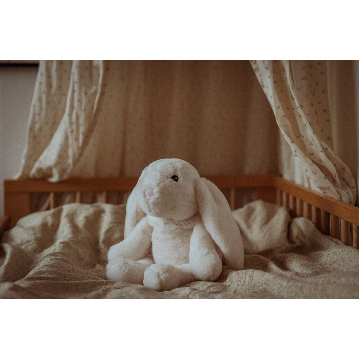 by Astrup Tyngdedyr, Kanin, 1,2 Kg.