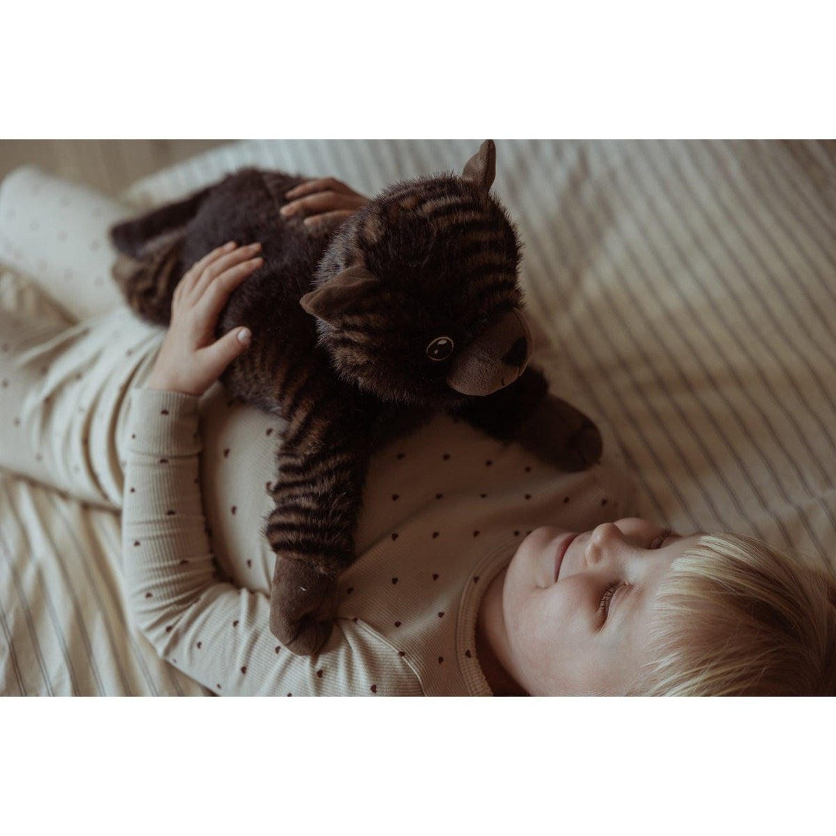 by Astrup Tyngdedyr, Kat, 1,2 Kg.