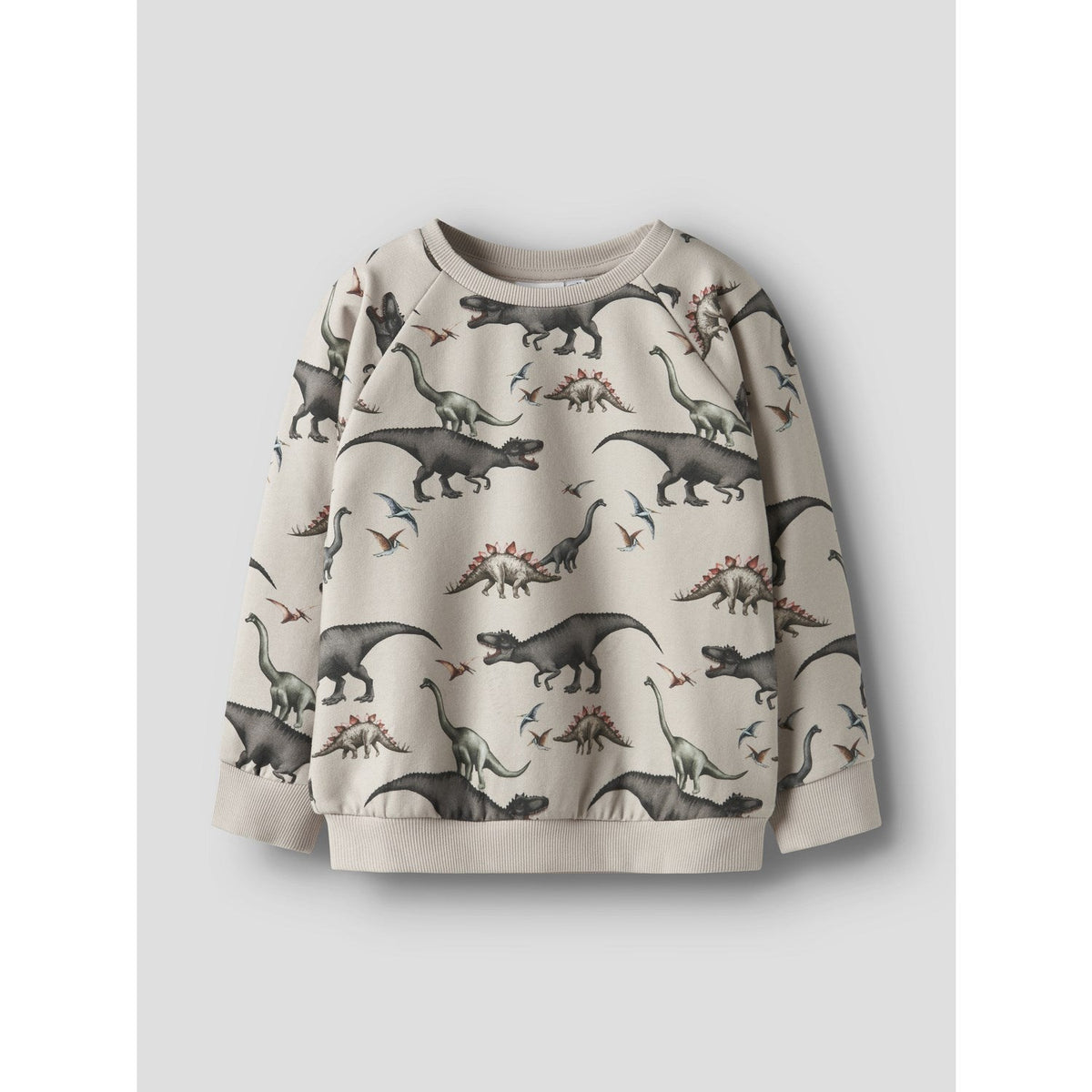 Name It Pumice Stone Nmmbertil Ls Nreg Sweat Bru