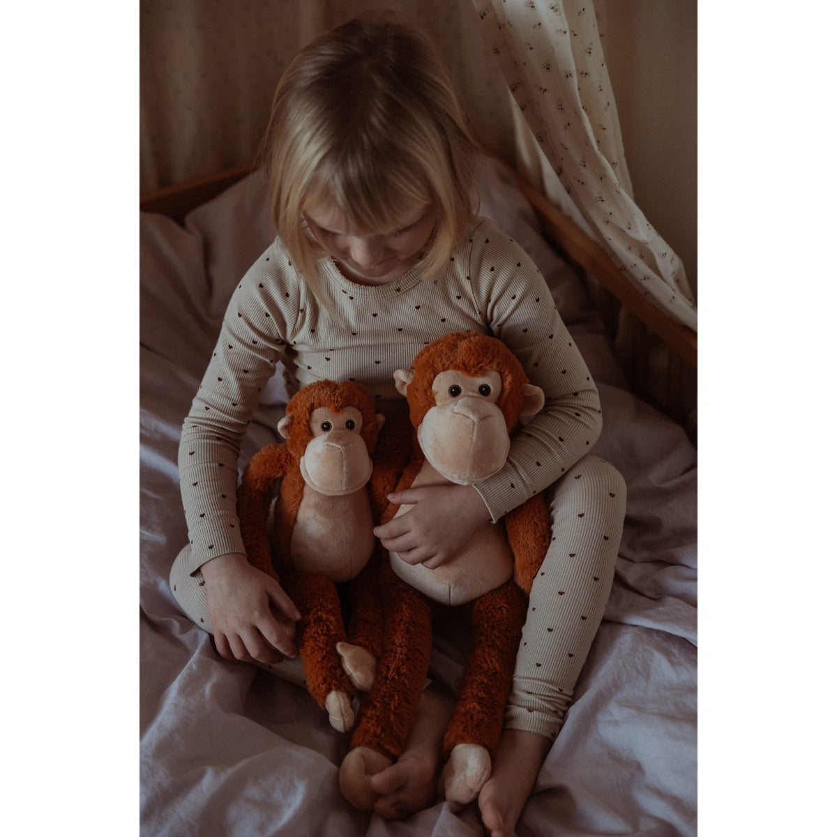 by Astrup Tyngdedyr, Abe, 1,1 Kg.