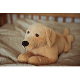 by Astrup Tyngdedyr, Hund, 2,2 Kg.