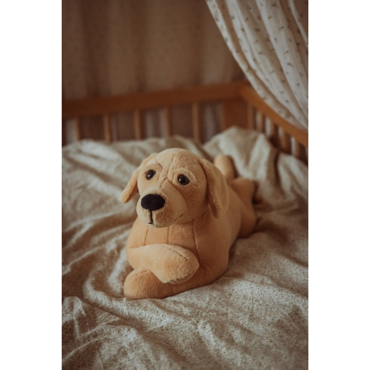by Astrup Tyngdedyr, Hund, 2,2 Kg.