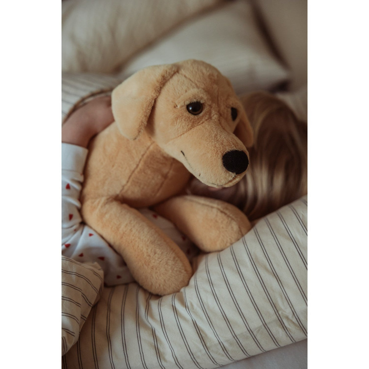 by Astrup Tyngdedyr, Hund, 2,2 Kg.