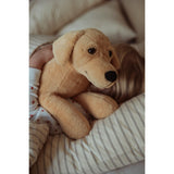 by Astrup Tyngdedyr, Hund, 2,2 Kg.