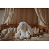 by Astrup Tyngdedyr, Kanin, 1,2 Kg.