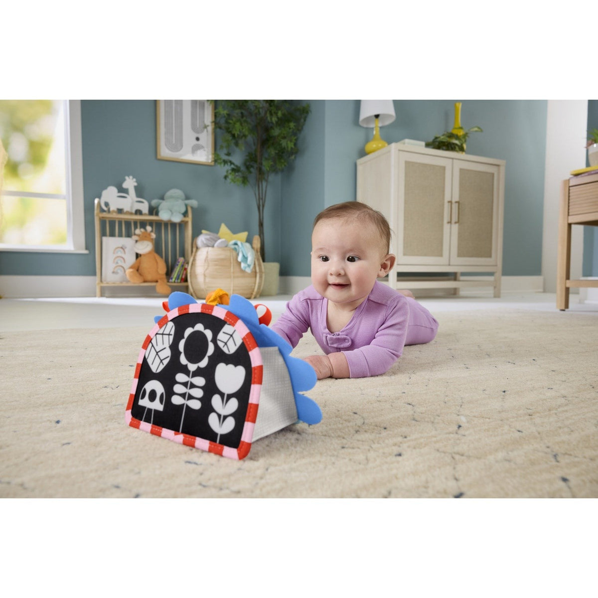 Fisher-Price® Nyfødt 2-i-1 Spejl