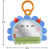 Fisher-Price® Nyfødt 2-i-1 Spejl