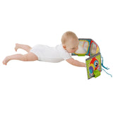 Playgro Mavetid Vendbar Bog/Spejl