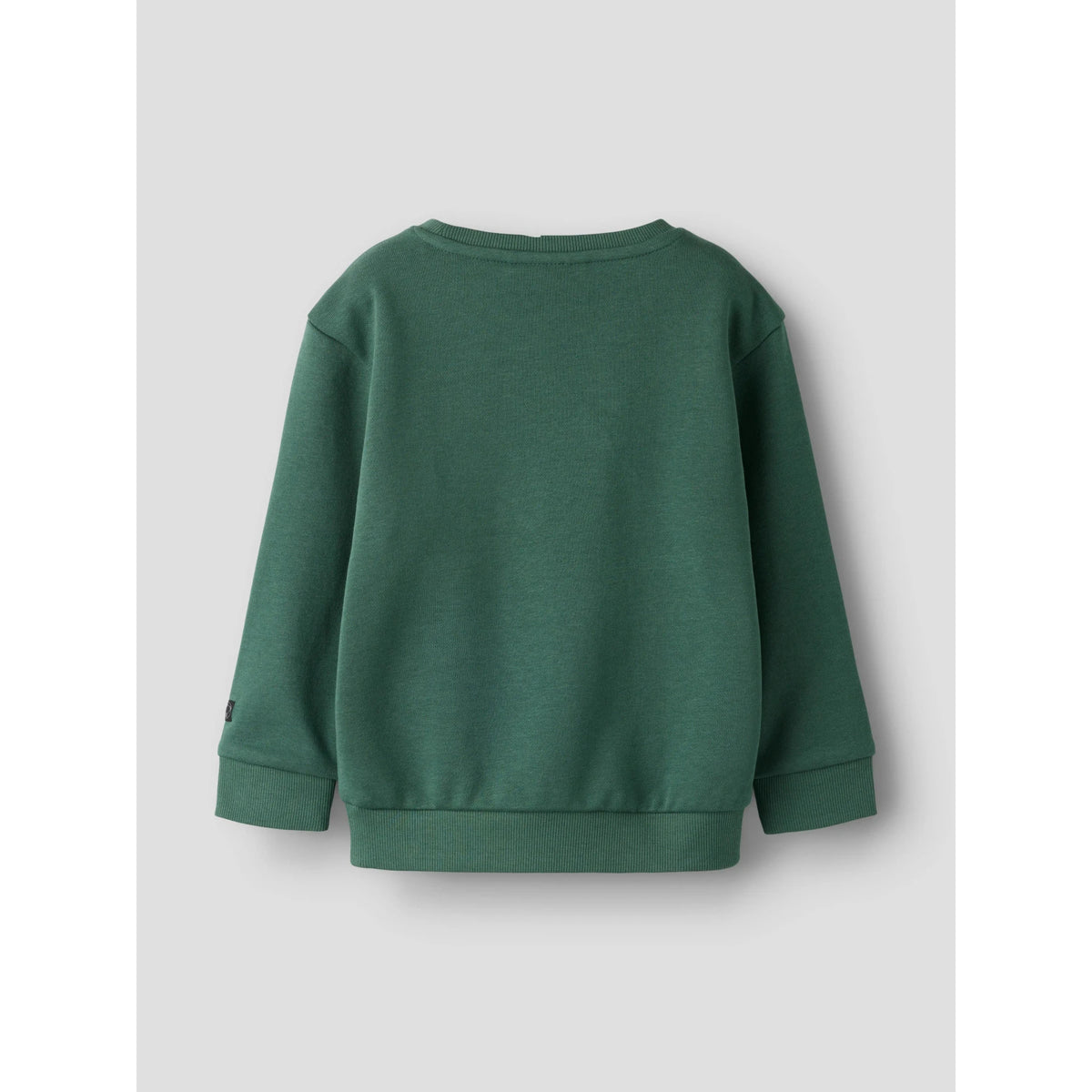 NAME IT Sweatshirt Franco Garden Topiary
