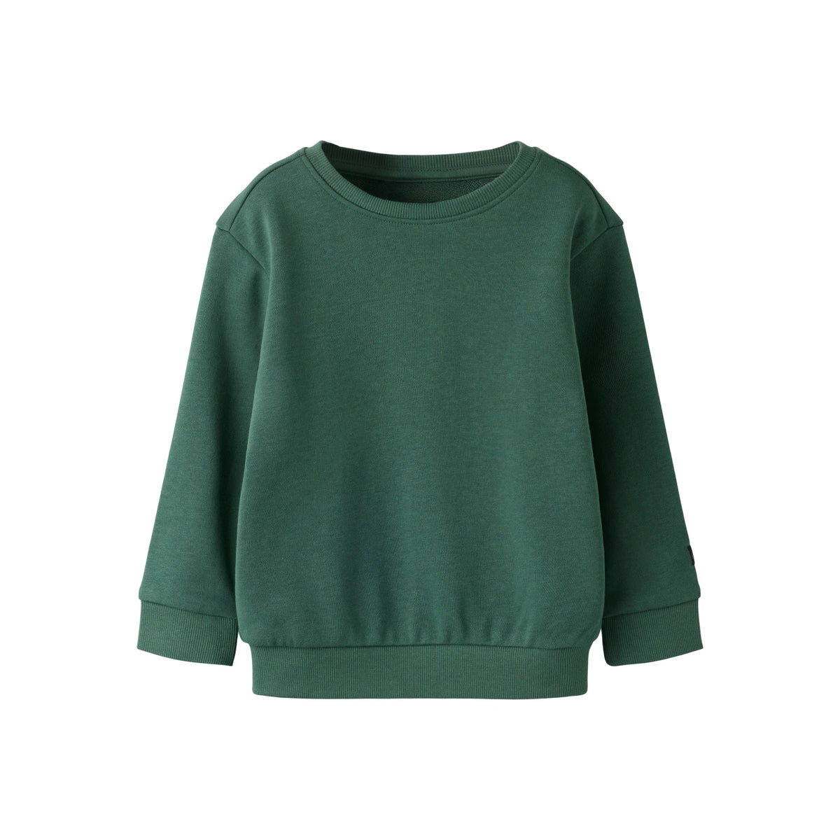 NAME IT Sweatshirt Franco Garden Topiary