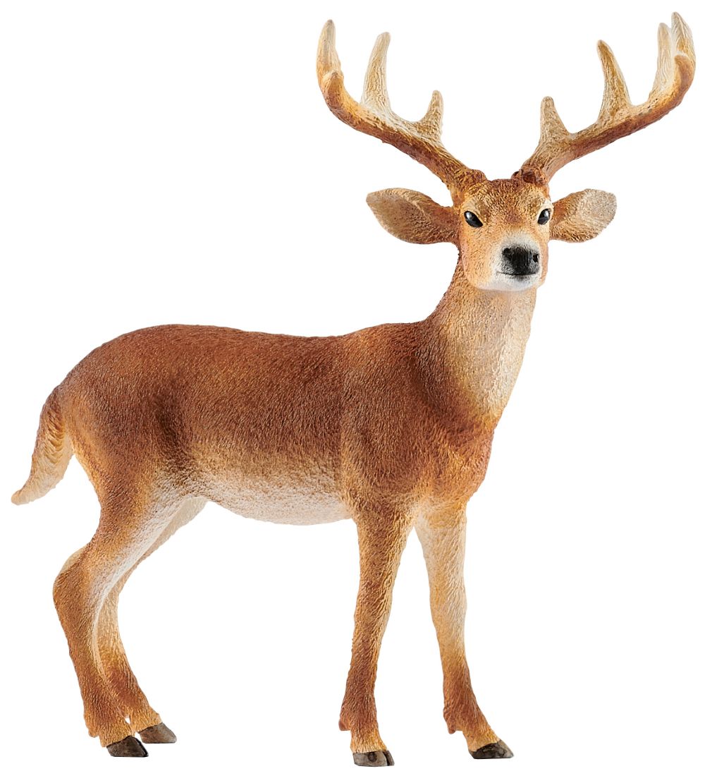 schleich® Wild Life Kronhjort